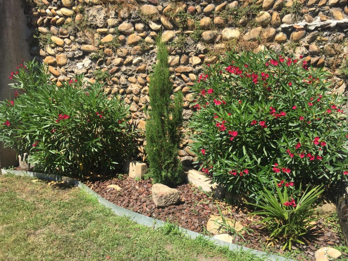 Apartamento Le Charles IX Roussillon  Exterior foto